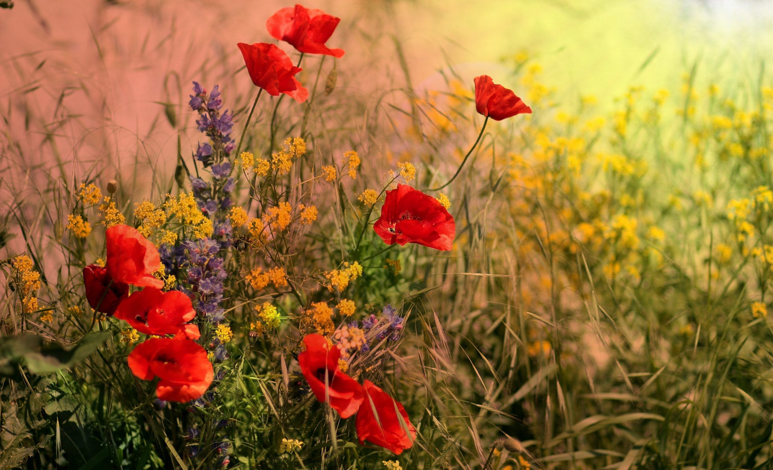 5 razones para aprender mindfulness
